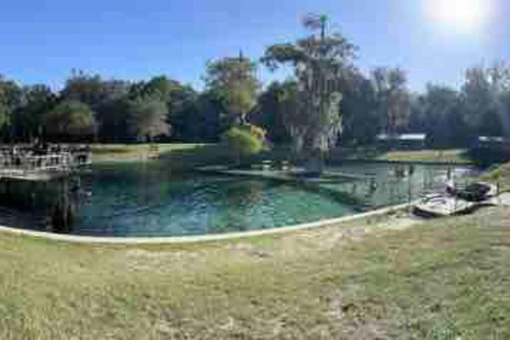 The Botanical Retreat, King Comfort & Poolside Peace Gainesville Exterior photo